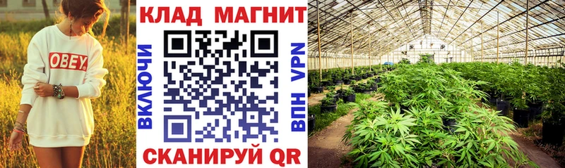 Как найти наркотики Верхняя Салда Амфетамин  Кокаин  Псилоцибиновые грибы  Гашиш  Конопля  кракен tor  Alpha-PVP 